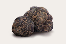 Summer Truffle Grade B – Tuber Aestivum Vitt..png