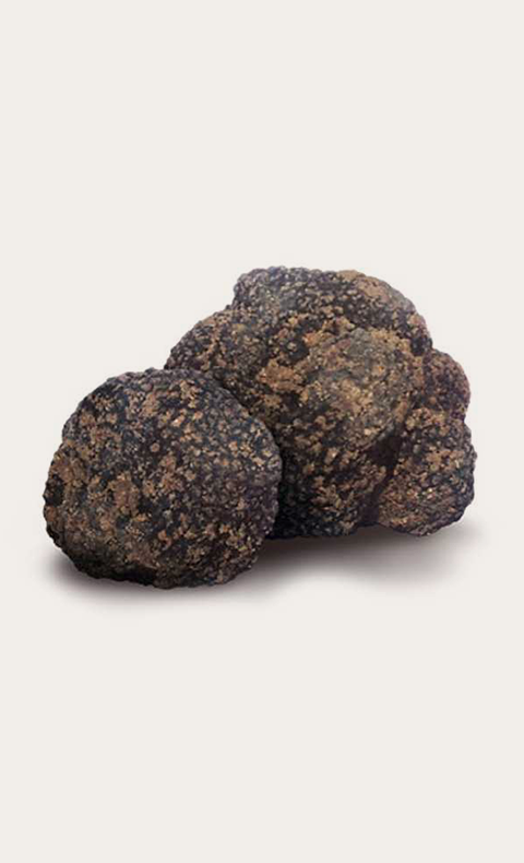 Summer Truffle Grade B – Tuber Aestivum Vitt..png